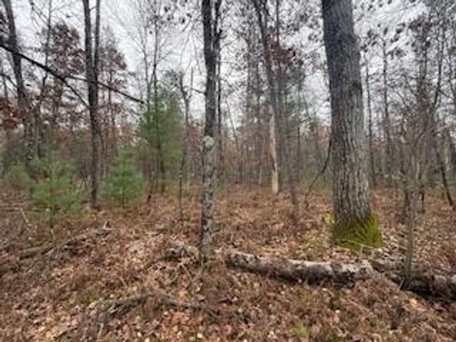 438 E 32nd Street, Baldwin, MI 49304