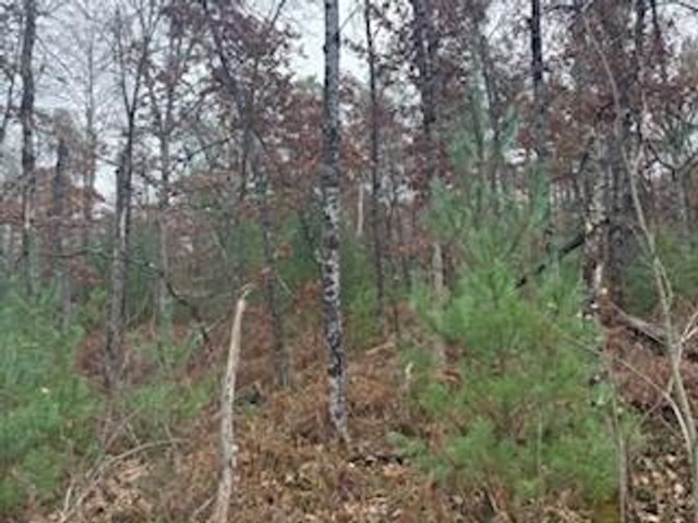 438 E 32nd Street, Baldwin, MI 49304