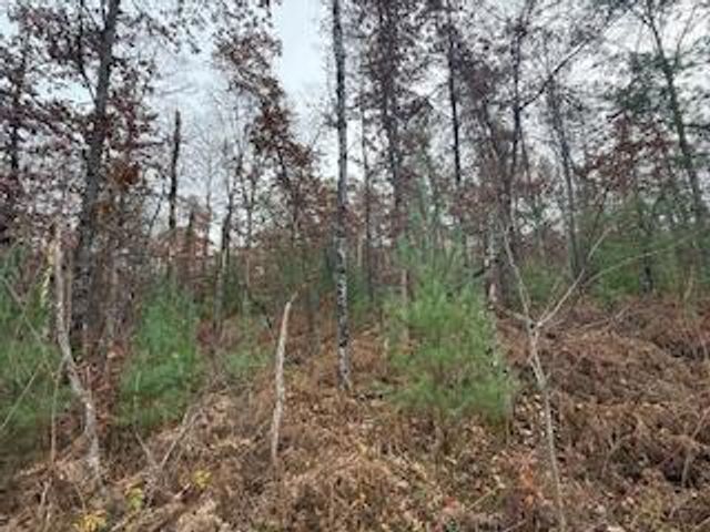 438 E 32nd Street, Baldwin, MI 49304