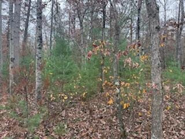 438 E 32nd Street, Baldwin, MI 49304