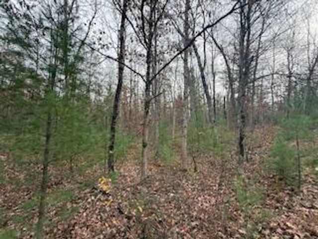 438 E 32nd Street, Baldwin, MI 49304