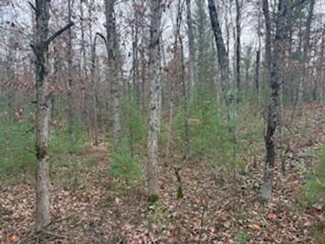 438 E 32nd Street, Baldwin, MI 49304