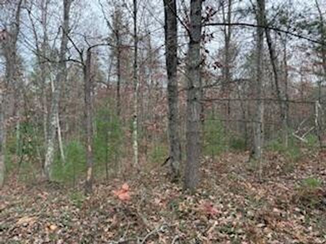 438 E 32nd Street, Baldwin, MI 49304