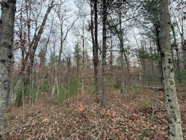 438 E 32nd Street, Baldwin, MI 49304