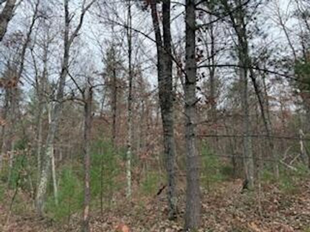 438 E 32nd Street, Baldwin, MI 49304