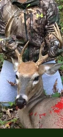 438 E 32nd Street, Baldwin, MI 49304