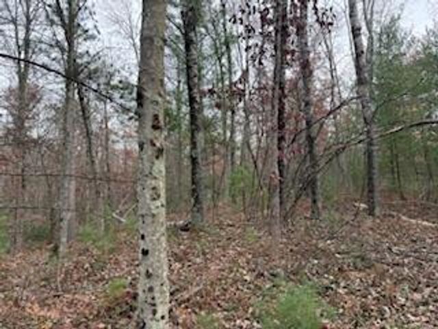 438 E 32nd Street, Baldwin, MI 49304