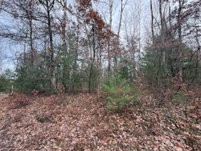 438 E 32nd Street, Baldwin, MI 49304