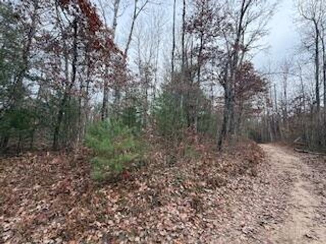 438 E 32nd Street, Baldwin, MI 49304