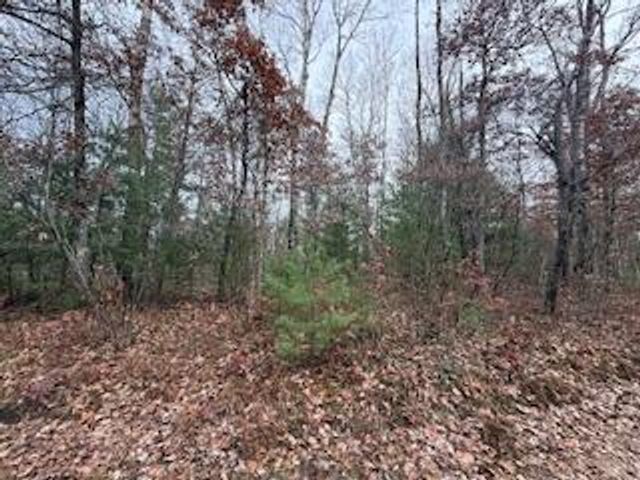 438 E 32nd Street, Baldwin, MI 49304