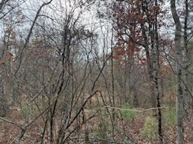 438 E 32nd Street, Baldwin, MI 49304