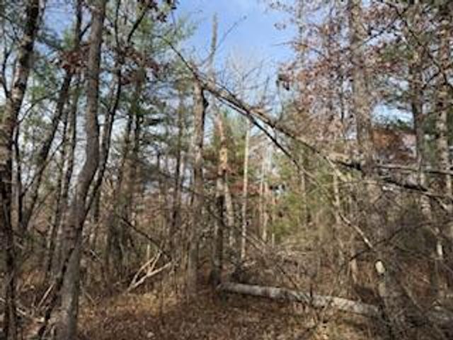 438 E 32nd Street, Baldwin, MI 49304