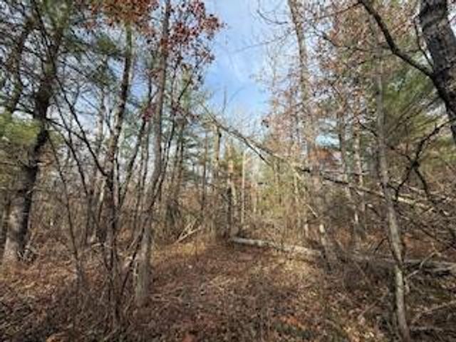 438 E 32nd Street, Baldwin, MI 49304