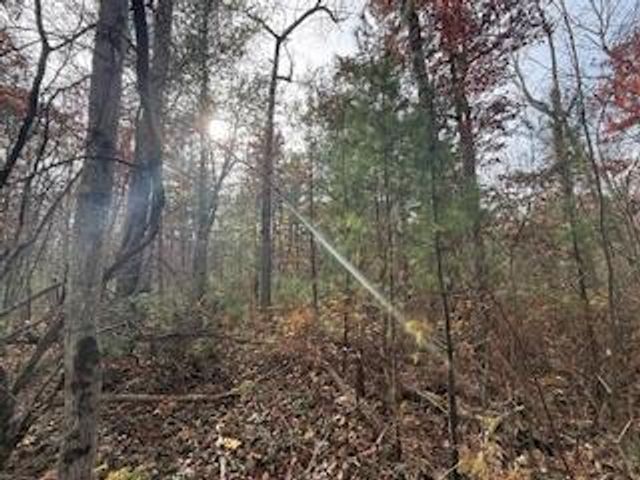 438 E 32nd Street, Baldwin, MI 49304