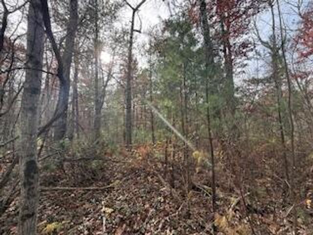 438 E 32nd Street, Baldwin, MI 49304