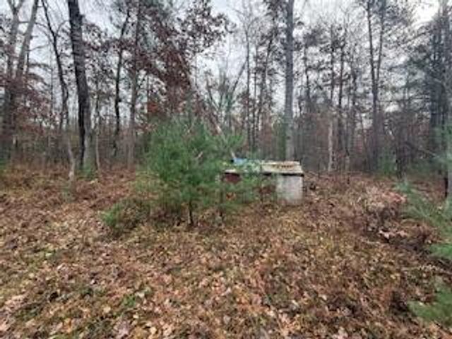 438 E 32nd Street, Baldwin, MI 49304