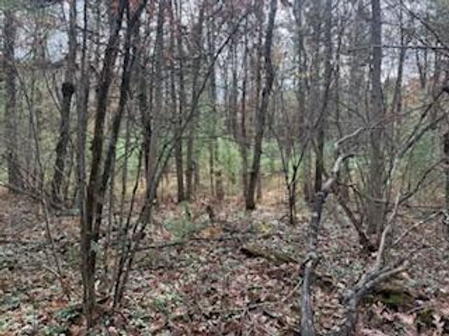 438 E 32nd Street, Baldwin, MI 49304