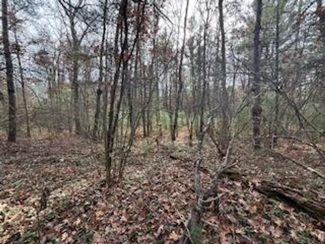 438 E 32nd Street, Baldwin, MI 49304