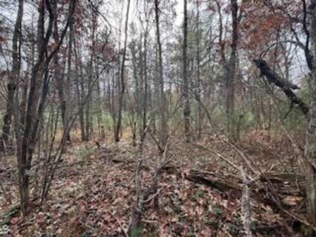 438 E 32nd Street, Baldwin, MI 49304