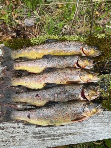 438 E 32nd Street, Baldwin, MI 49304