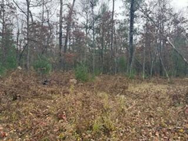 438 E 32nd Street, Baldwin, MI 49304