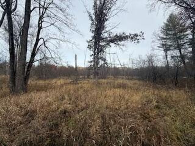 438 E 32nd Street, Baldwin, MI 49304