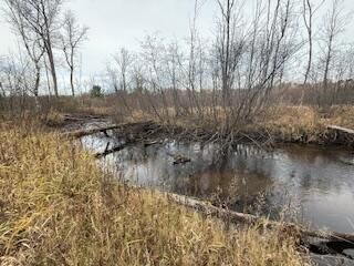 438 E 32nd Street, Baldwin, MI 49304