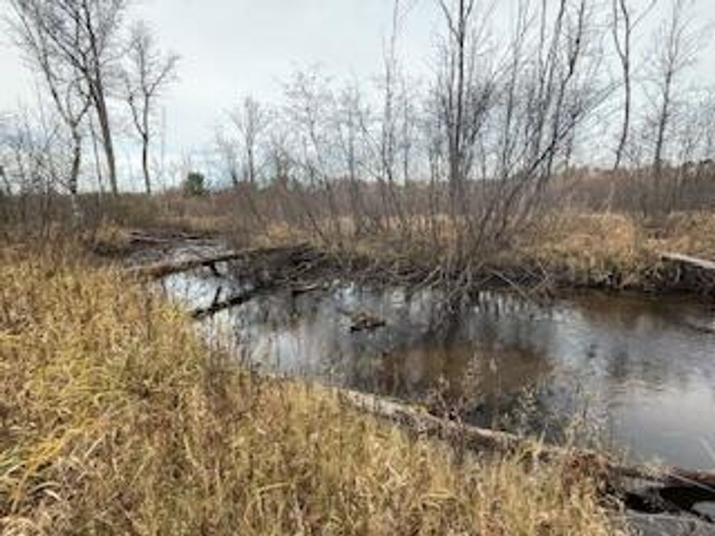 438 E 32nd Street, Baldwin, MI 49304