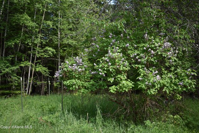 506 Bearfoot Hollow, Sandpoint, ID 83864