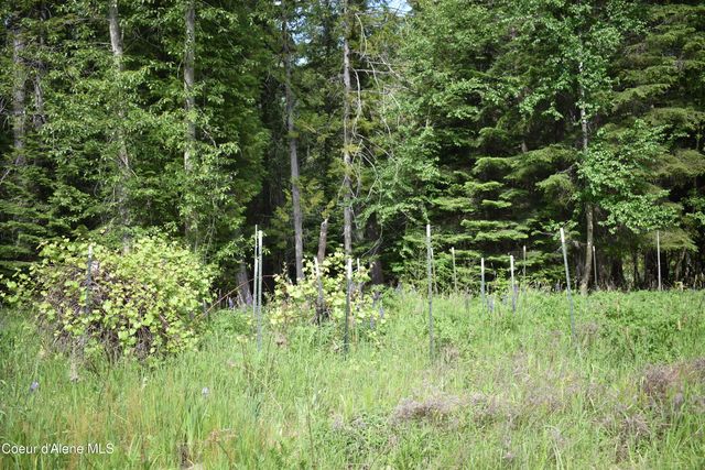 506 Bearfoot Hollow, Sandpoint, ID 83864