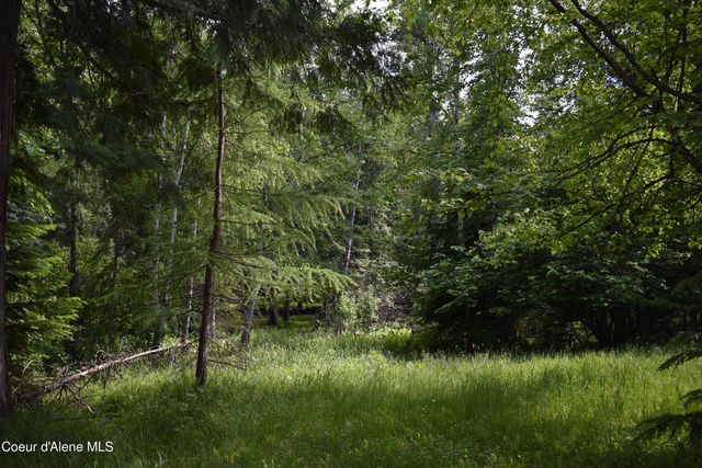506 Bearfoot Hollow, Sandpoint, ID 83864