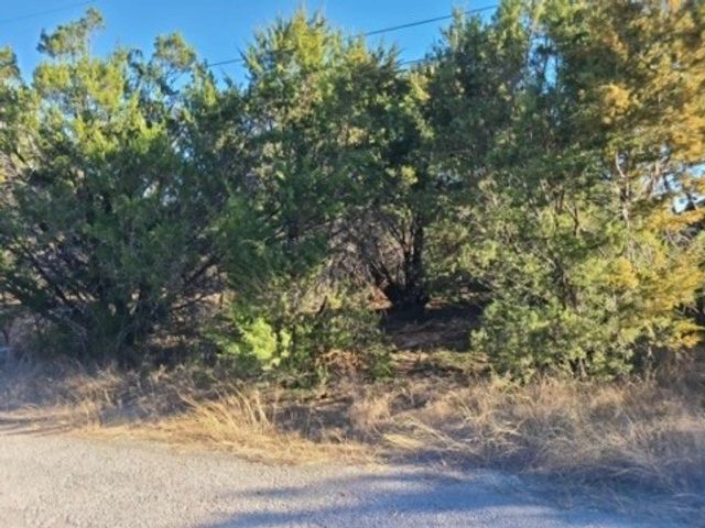 2527 Mercedes Street, Granbury, TX 76048