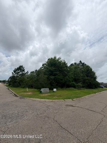 Canal Junction Drive, Gulfport, MS 39503