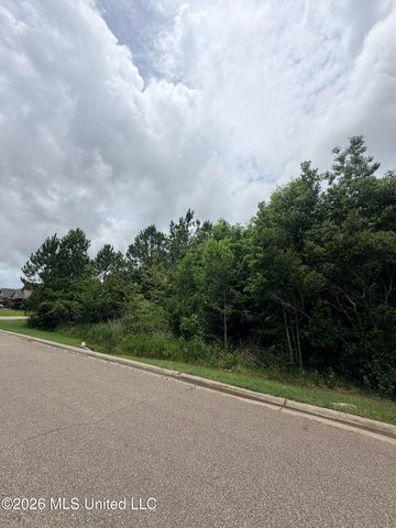 Canal Junction Drive, Gulfport, MS 39503