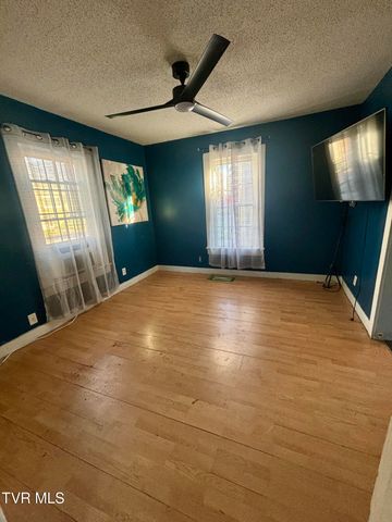 103 Harrison Street, Johnson City, TN 37604