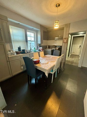 103 Harrison Street, Johnson City, TN 37604