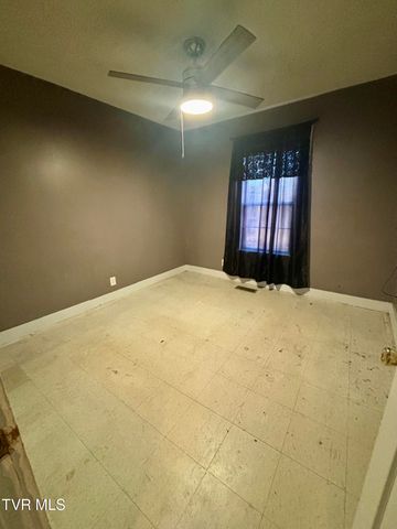 103 Harrison Street, Johnson City, TN 37604