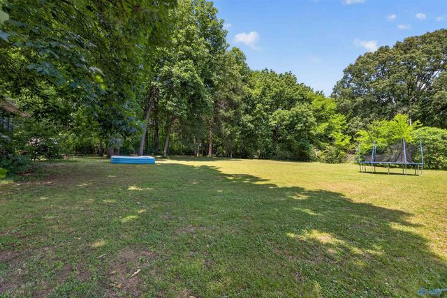 222 Dee Ann Road, Trinity, AL 35673