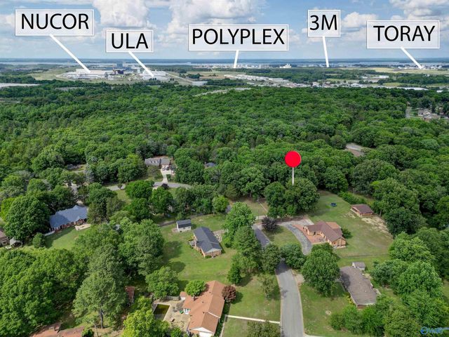 222 Dee Ann Road, Trinity, AL 35673