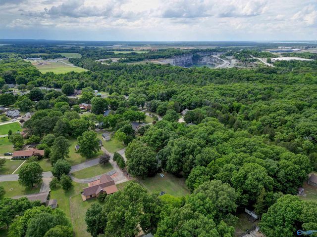 222 Dee Ann Road, Trinity, AL 35673