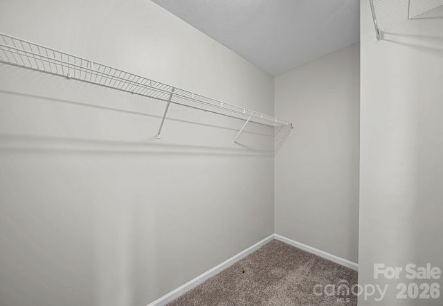 8246 Weeping Fig Lane, Charlotte, NC 28215