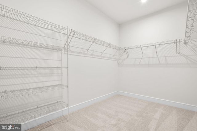 1010 CAPTAIN RICHARDS CT #HOMESITE 175, Marshall, VA 20115