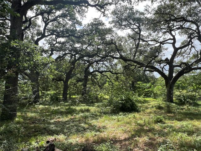 3500 Fm 1579, Schulenburg, TX 78956