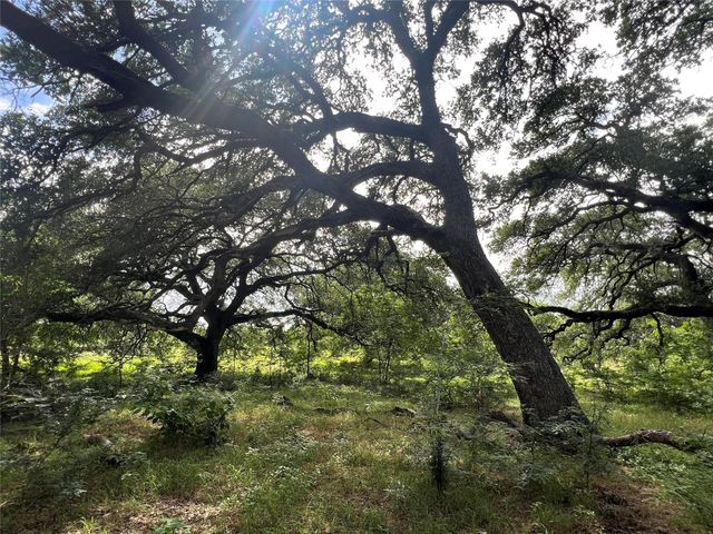3500 Fm 1579, Schulenburg, TX 78956