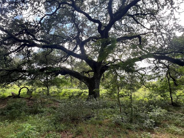 3500 Fm 1579, Schulenburg, TX 78956