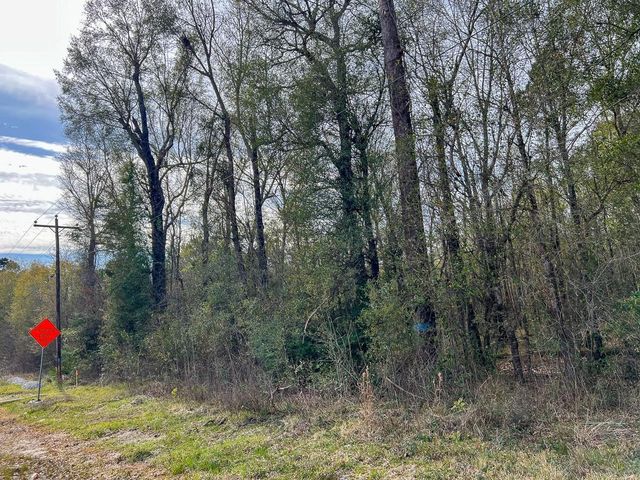 0 Highway 1131, Vidor, TX 77662