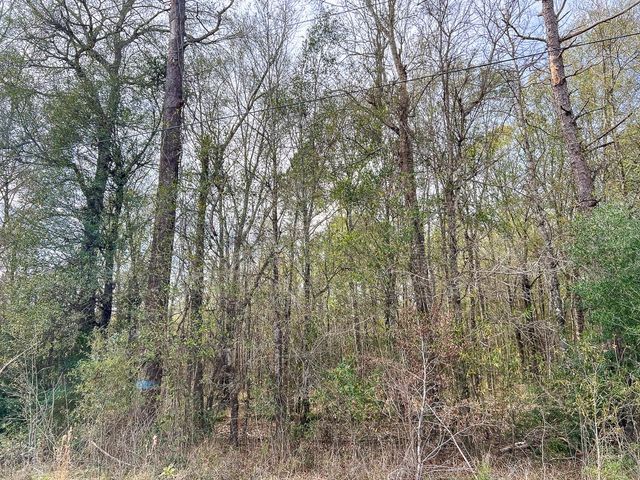 0 Highway 1131, Vidor, TX 77662