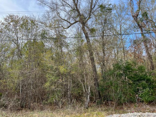 0 Highway 1131, Vidor, TX 77662