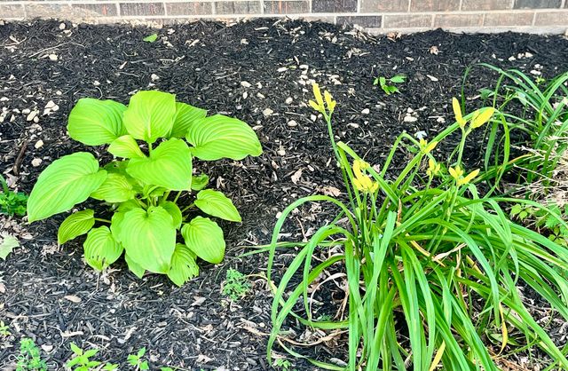 15841 E 265 N, Columbus, IN 47203