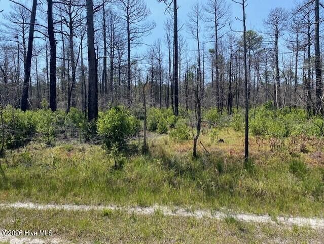 799 Jasmine Road, Southport, NC 28461